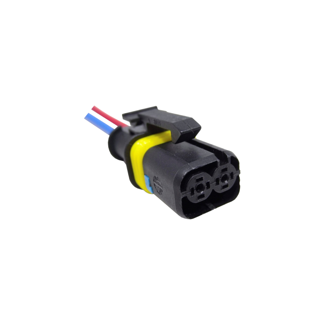 FICHA 2 VIAS INYECCION ELECTRONICA (CAMIONES/OMNIBUS)