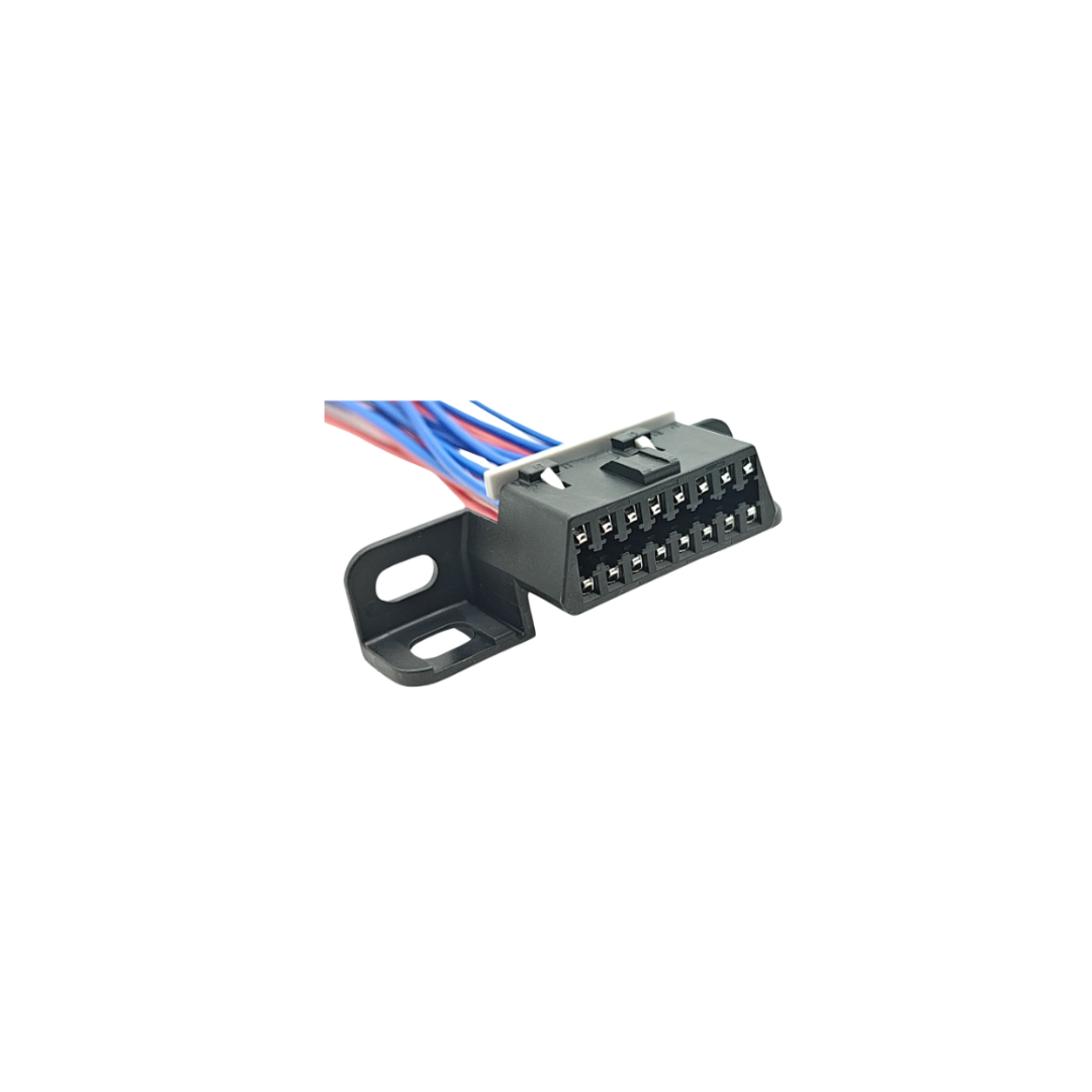 FICHA 16 VIAS TOMA DIAGNOSTICO UNIVERSAL HEMBRA